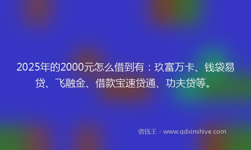 2025年的2000元怎么借到有：玖富万卡、钱袋易贷、飞融金、借款宝速贷通、功夫贷等。