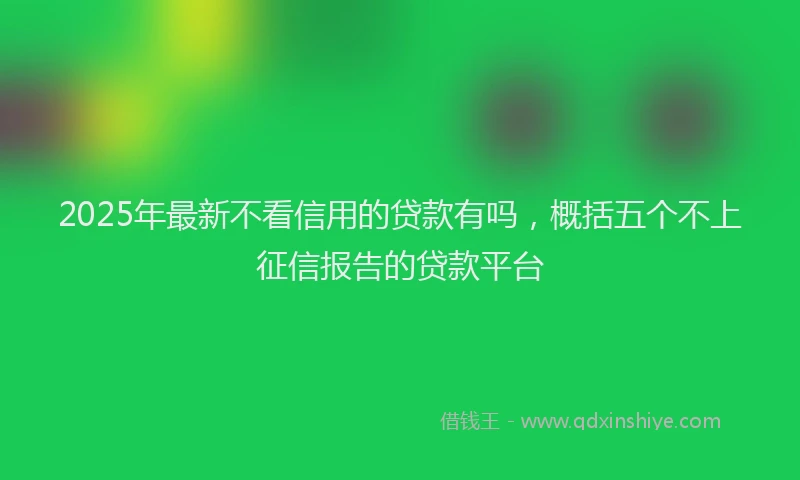 2025年最新不看信用的贷款有吗，概括五个不上征信报告的贷款平台