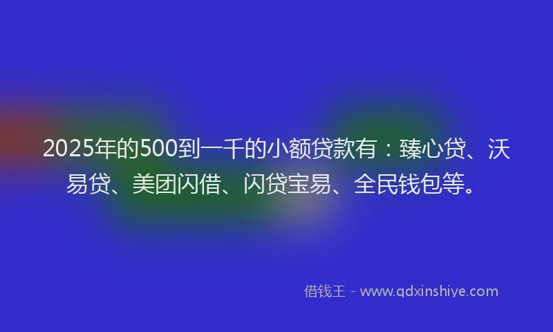 2025年的500到一千的小额贷款有：臻心贷、沃易贷、美团闪借、闪贷宝易、全民钱包等。