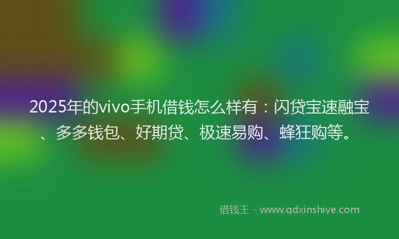 2025年的vivo手机借钱怎么样有：闪贷宝速融宝、多多钱包、好期贷、极速易购、蜂狂购等。