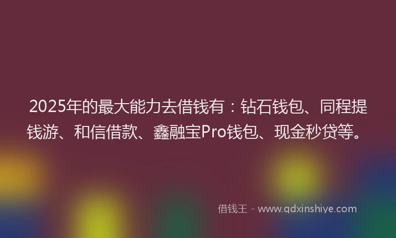 2025年的最大能力去借钱有：钻石钱包、同程提钱游、和信借款、鑫融宝Pro钱包、现金秒贷等。