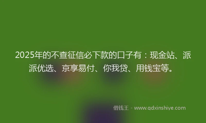 2025年的不查征信必下款的口子有：现金站、派派优选、京享易付、你我贷、用钱宝等。