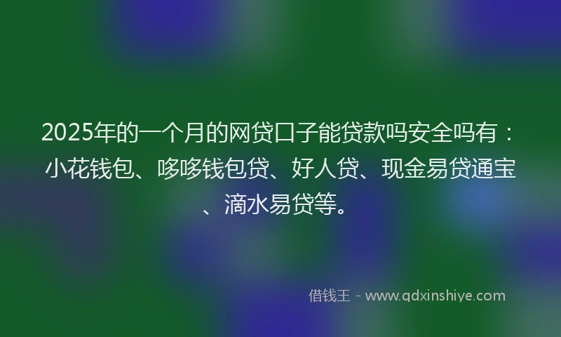 2025年的一个月的网贷口子能贷款吗安全吗有：小花钱包、哆哆钱包贷、好人贷、现金易贷通宝、滴水易贷等。