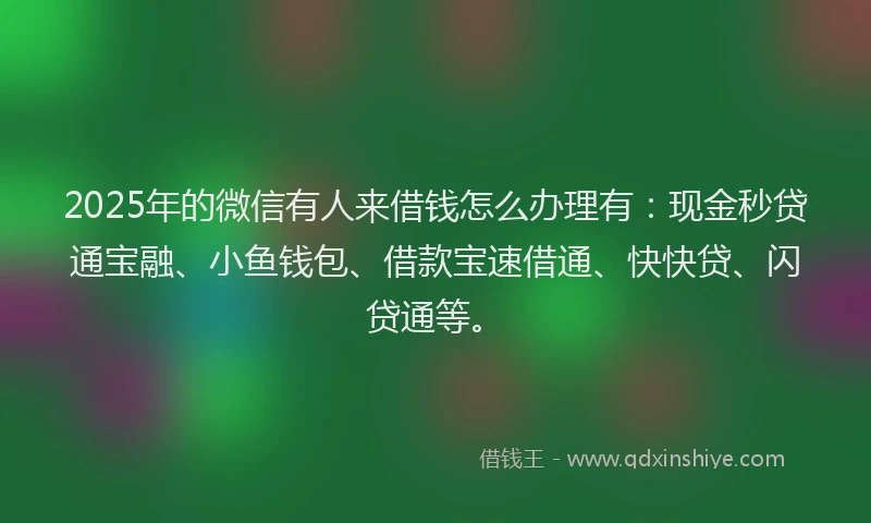 2025年的微信有人来借钱怎么办理有：现金秒贷通宝融、小鱼钱包、借款宝速借通、快快贷、闪贷通等。