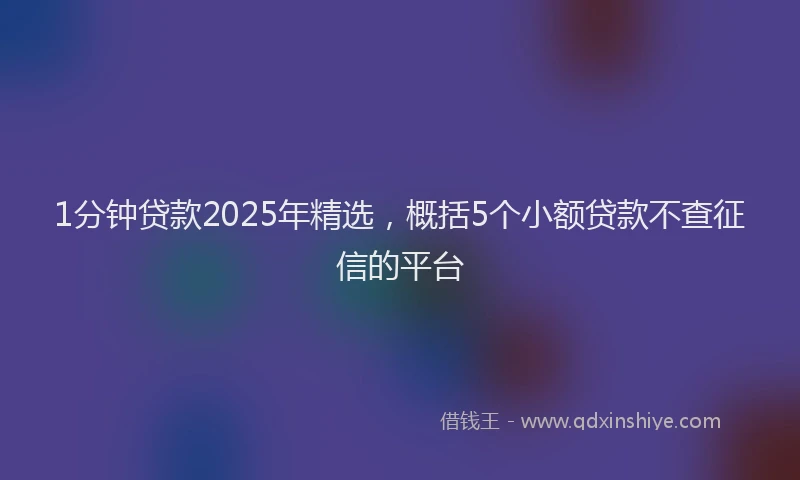 1分钟贷款2025年精选，概括5个小额贷款不查征信的平台