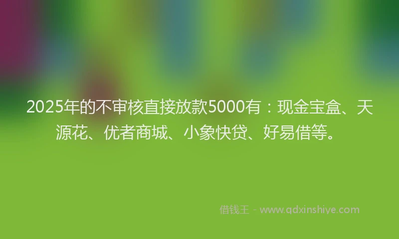 2025年的不审核直接放款5000有：现金宝盒、天源花、优者商城、小象快贷、好易借等。