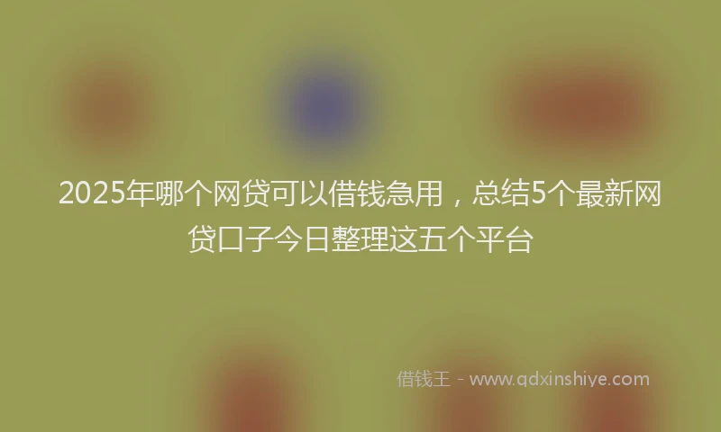 2025年哪个网贷可以借钱急用，总结5个最新网贷口子今日整理这五个平台