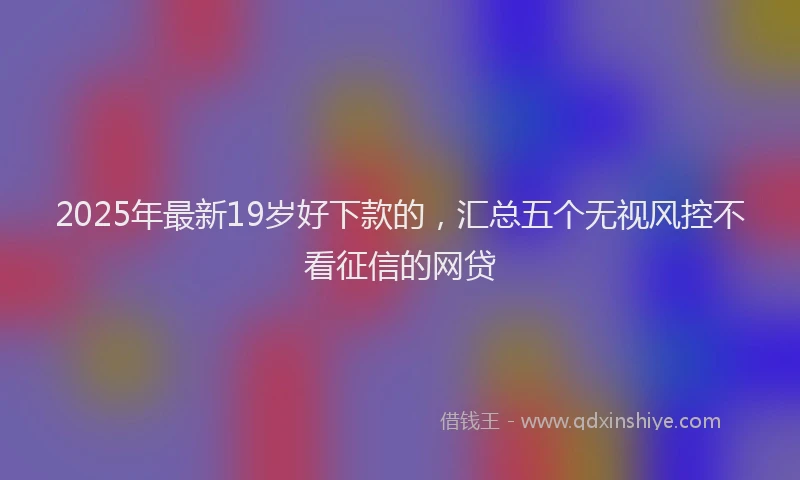 2025年最新19岁好下款的，汇总五个无视风控不看征信的网贷