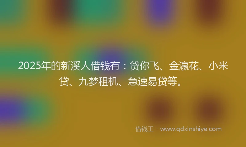 2025年的新溪人借钱有：贷你飞、金瀛花、小米贷、九梦租机、急速易贷等。