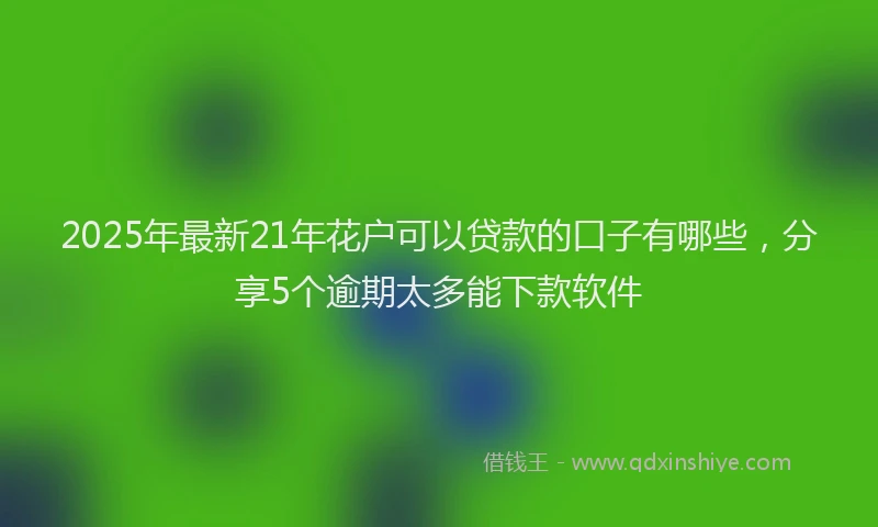 2025年最新21年花户可以贷款的口子有哪些，分享5个逾期太多能下款软件