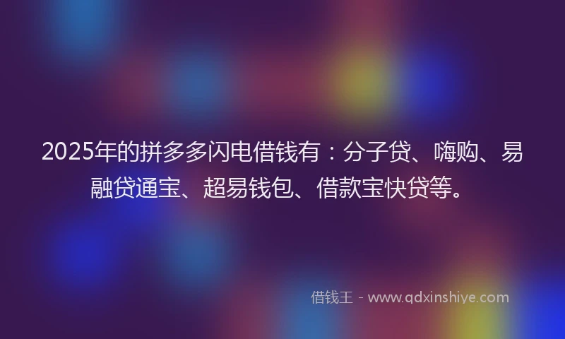 2025年的拼多多闪电借钱有：分子贷、嗨购、易融贷通宝、超易钱包、借款宝快贷等。