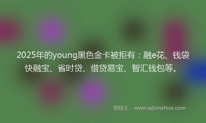 2025年的young黑色金卡被拒有：融e花、钱袋快融宝、省时贷、借贷易宝、智汇钱包等。