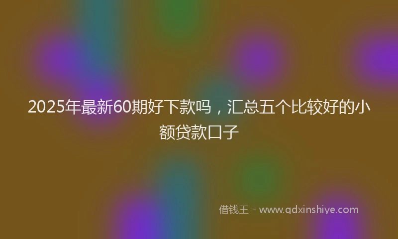 2025年最新60期好下款吗，汇总五个比较好的小额贷款口子
