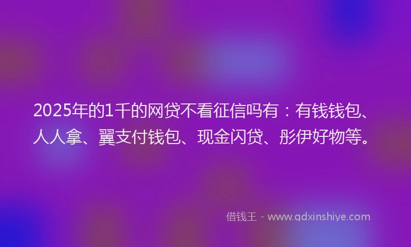2025年的1千的网贷不看征信吗有：有钱钱包、人人拿、翼支付钱包、现金闪贷、彤伊好物等。