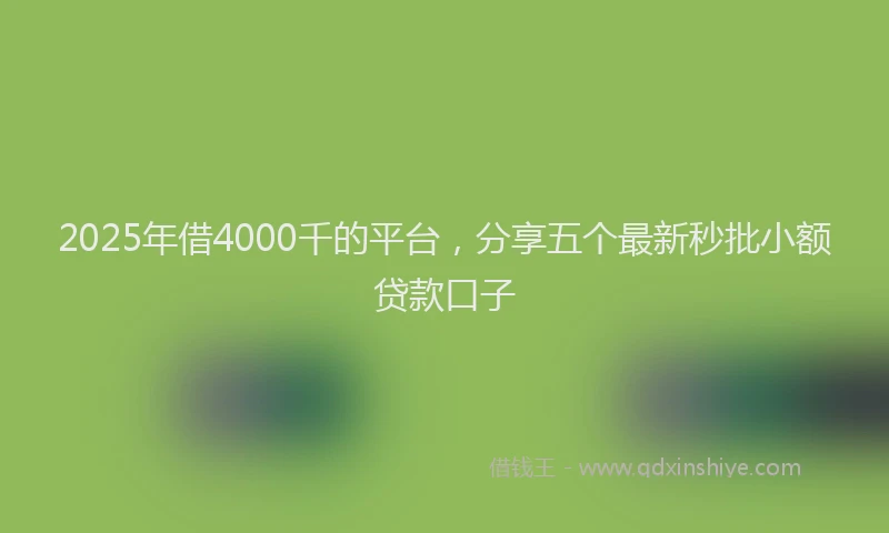 2025年借4000千的平台，分享五个最新秒批小额贷款口子