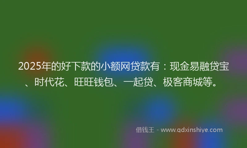 2025年的好下款的小额网贷款有：现金易融贷宝、时代花、旺旺钱包、一起贷、极客商城等。