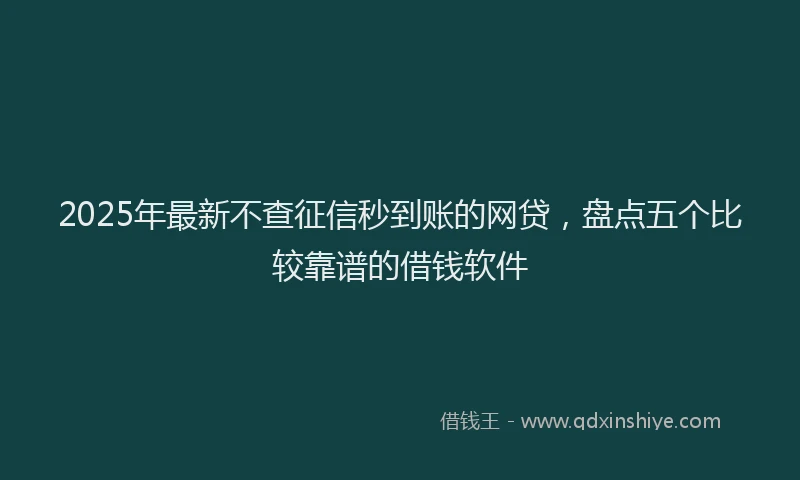 2025年最新不查征信秒到账的网贷，盘点五个比较靠谱的借钱软件