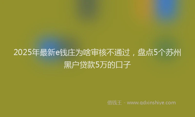 2025年最新e钱庄为啥审核不通过，盘点5个苏州黑户贷款5万的口子