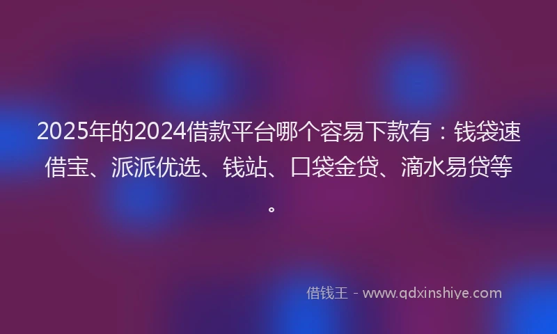 2025年的2024借款平台哪个容易下款有：钱袋速借宝、派派优选、钱站、口袋金贷、滴水易贷等。