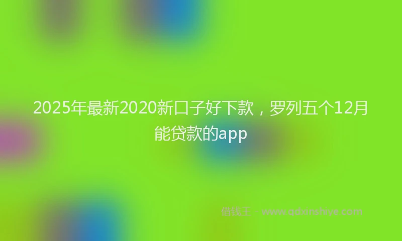 2025年最新2020新口子好下款，罗列五个12月能贷款的app