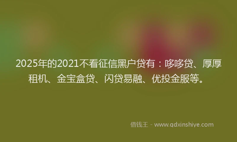 2025年的2021不看征信黑户贷有：哆哆贷、厚厚租机、金宝盒贷、闪贷易融、优投金服等。