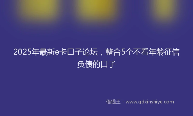 2025年最新e卡口子论坛，整合5个不看年龄征信负债的口子