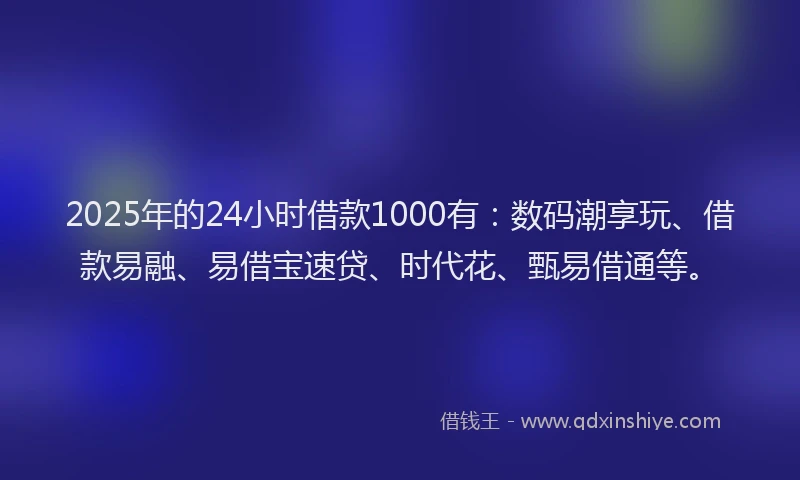 2025年的24小时借款1000有：数码潮享玩、借款易融、易借宝速贷、时代花、甄易借通等。