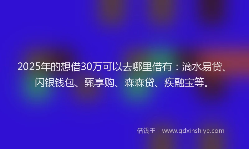 2025年的想借30万可以去哪里借有：滴水易贷、闪银钱包、甄享购、森森贷、疾融宝等。