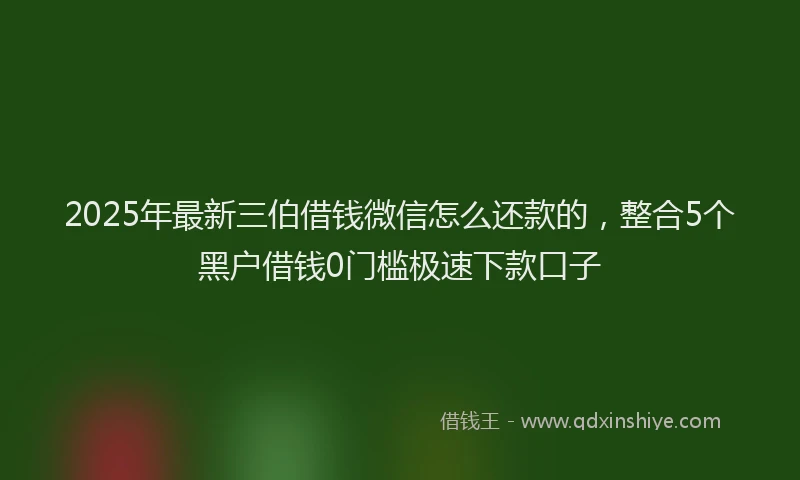 2025年最新三伯借钱微信怎么还款的，整合5个黑户借钱0门槛极速下款口子