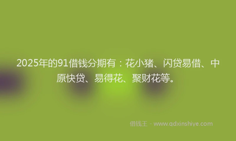 2025年的91借钱分期有：花小猪、闪贷易借、中原快贷、易得花、聚财花等。