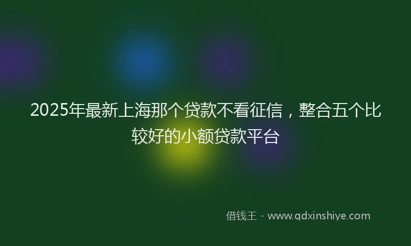 2025年最新上海那个贷款不看征信，整合五个比较好的小额贷款平台