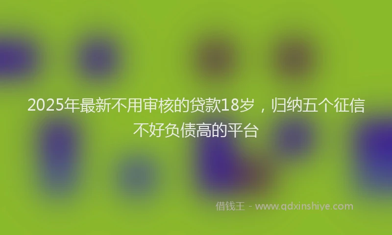 2025年最新不用审核的贷款18岁，归纳五个征信不好负债高的平台
