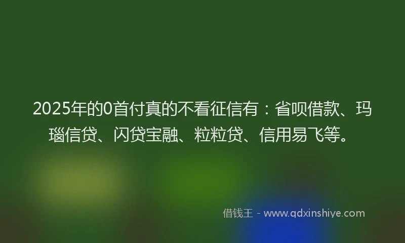 2025年的0首付真的不看征信有：省呗借款、玛瑙信贷、闪贷宝融、粒粒贷、信用易飞等。