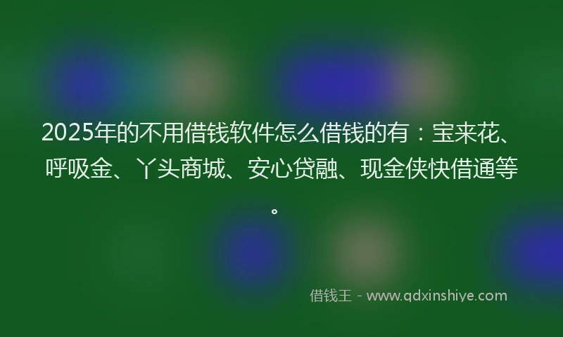 2025年的不用借钱软件怎么借钱的有：宝来花、呼吸金、丫头商城、安心贷融、现金侠快借通等。