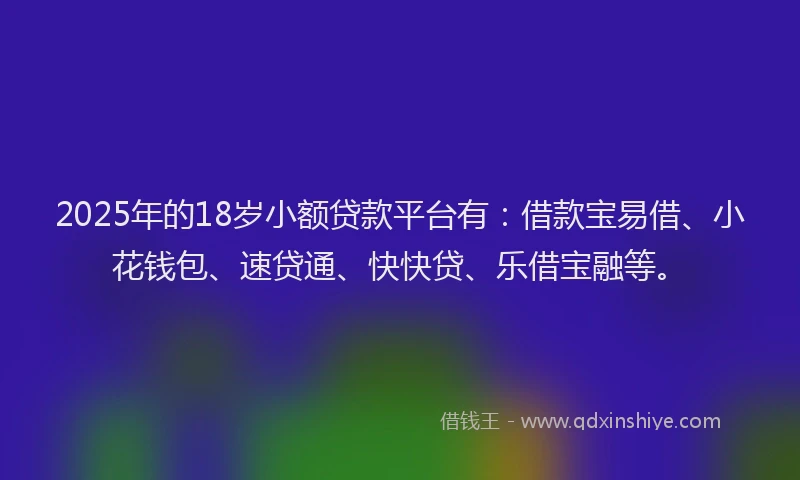 2025年的18岁小额贷款平台有：借款宝易借、小花钱包、速贷通、快快贷、乐借宝融等。