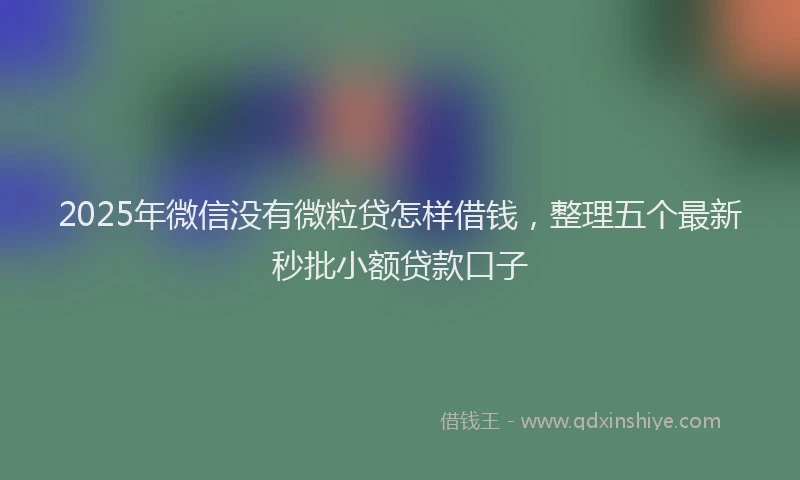 2025年微信没有微粒贷怎样借钱，整理五个最新秒批小额贷款口子