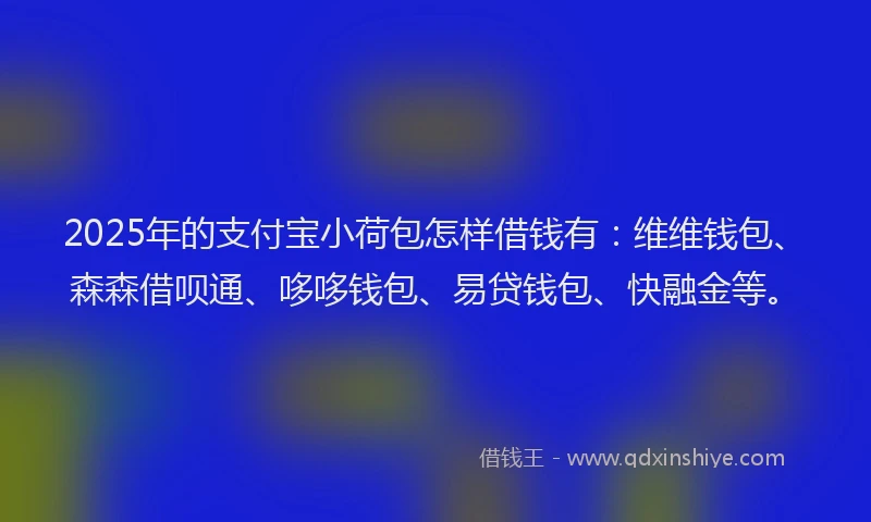 2025年的支付宝小荷包怎样借钱有：维维钱包、森森借呗通、哆哆钱包、易贷钱包、快融金等。