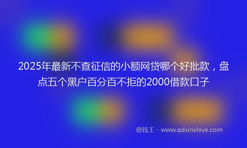 2025年最新不查征信的小额网贷哪个好批款，盘点五个黑户百分百不拒的2000借款口子
