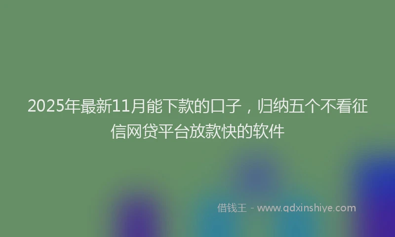 2025年最新11月能下款的口子，归纳五个不看征信网贷平台放款快的软件