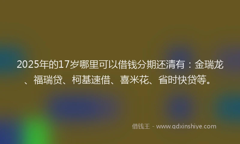 2025年的17岁哪里可以借钱分期还清有：金瑞龙、福瑞贷、柯基速借、喜米花、省时快贷等。