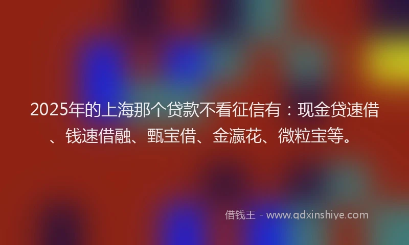 2025年的上海那个贷款不看征信有：现金贷速借、钱速借融、甄宝借、金瀛花、微粒宝等。