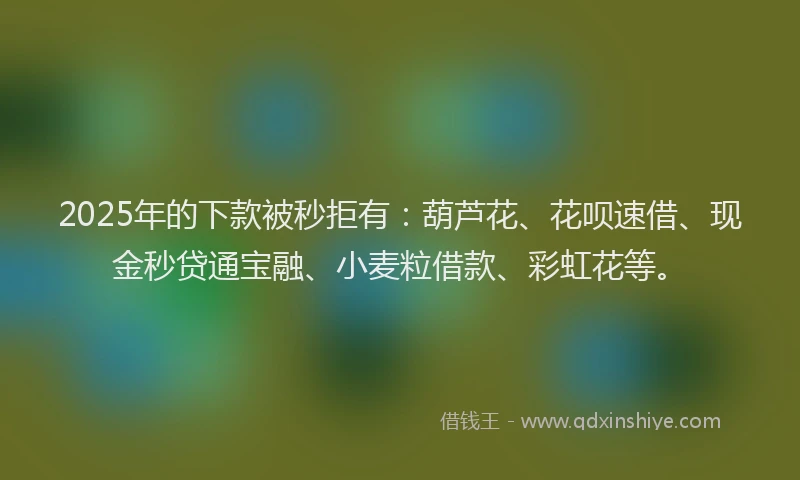 2025年的下款被秒拒有：葫芦花、花呗速借、现金秒贷通宝融、小麦粒借款、彩虹花等。