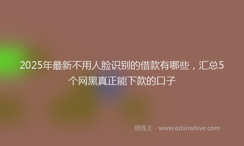 2025年最新不用人脸识别的借款有哪些，汇总5个网黑真正能下款的口子