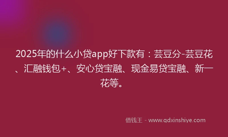 2025年的什么小贷app好下款有：芸豆分-芸豆花、汇融钱包+、安心贷宝融、现金易贷宝融、新一花等。