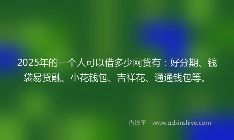 2025年的一个人可以借多少网贷有：好分期、钱袋易贷融、小花钱包、吉祥花、通通钱包等。