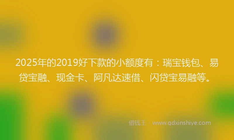 2025年的2019好下款的小额度有：瑞宝钱包、易贷宝融、现金卡、阿凡达速借、闪贷宝易融等。