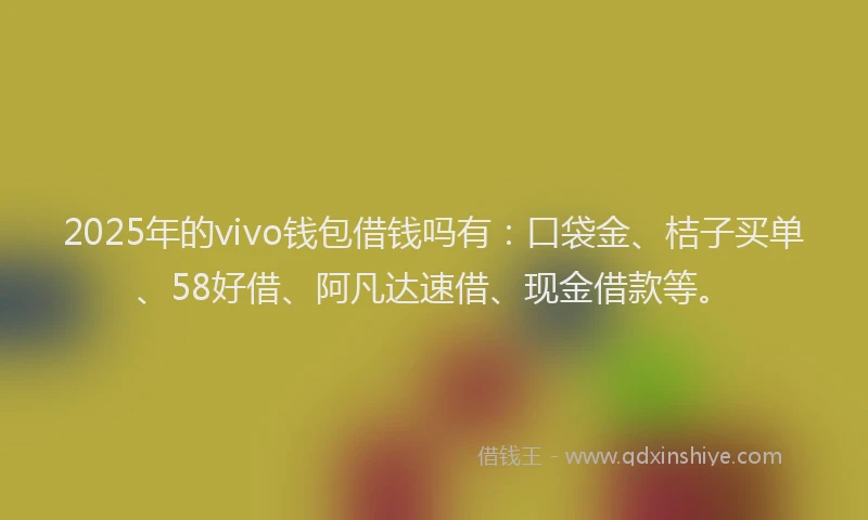 2025年的vivo钱包借钱吗有：口袋金、桔子买单、58好借、阿凡达速借、现金借款等。