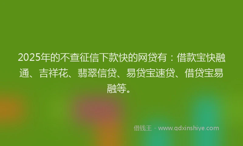 2025年的不查征信下款快的网贷有：借款宝快融通、吉祥花、翡翠信贷、易贷宝速贷、借贷宝易融等。