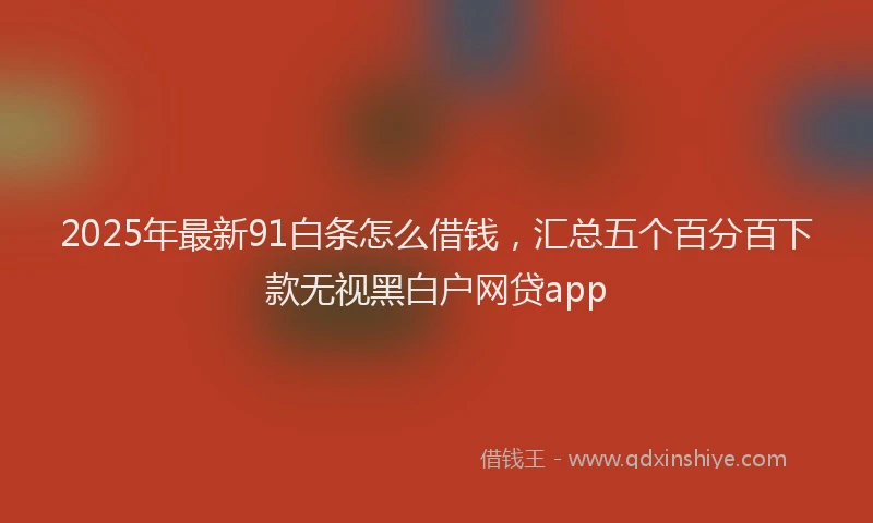 2025年最新91白条怎么借钱，汇总五个百分百下款无视黑白户网贷app