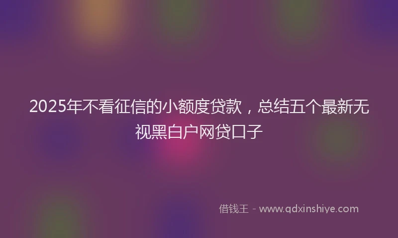 2025年不看征信的小额度贷款，总结五个最新无视黑白户网贷口子